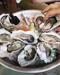 Close-up of hand holding fish