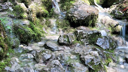 Scenic view of waterfall in forest