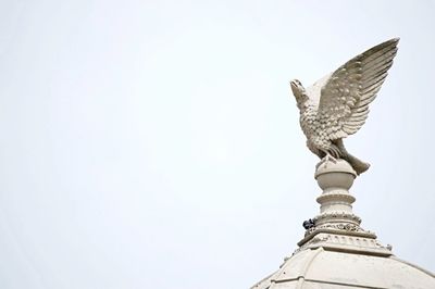 Low angle view of birds against clear sky