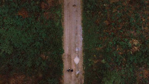 Aerial view of dirt road on field 