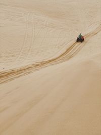 Scenic view of sand dunes in desert