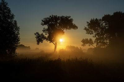 Foggy sunrise