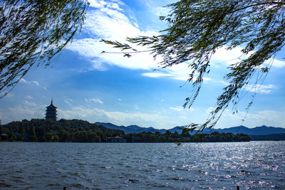 View of trees by building against cloudy sky