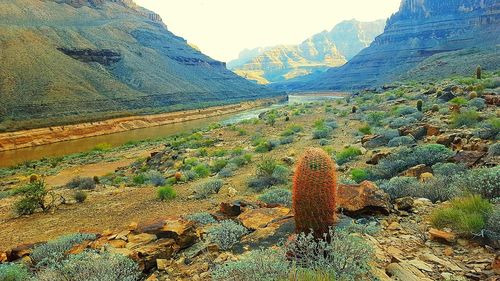 Scenic view of mountains