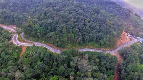 High angle view of road amidst trees in forest