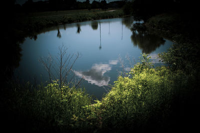 High angle view of trees by lake against sky