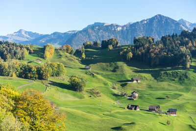 Scenic view of agricultural field against sky