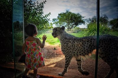 Close-up of tree trunk