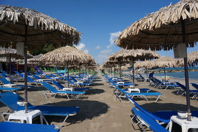 Palm trees on beach
