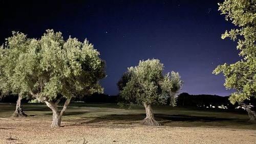 Trees on field against sky at night