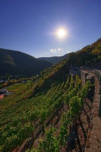 Scenic view of landscape against bright sun