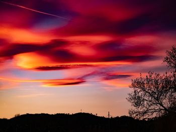 Low angle view of silhouette trees against dramatic sky