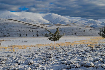 Scenic view of snow covered land against sky