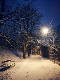 Bare trees on snow covered landscape