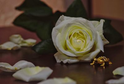 High angle view of rose bouquet on table