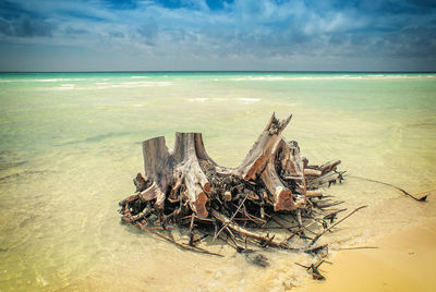 Scenic view of beach against sky