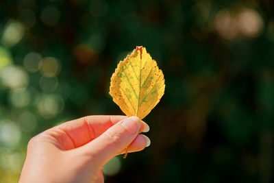 hand