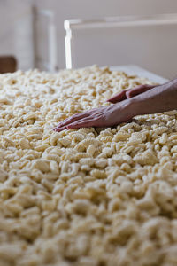 Close-up of person preparing food