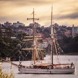 Sailboats moored in harbor against sky