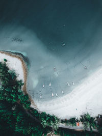 High angle view of trees seen through wet glass