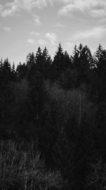 High angle view of trees on landscape against sky