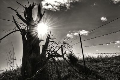 Low angle view of silhouette trees on field against sky