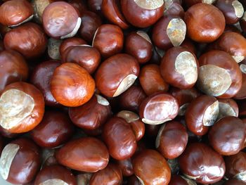 Full frame shot of onions