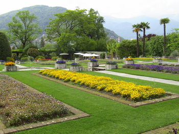 Scenic view of park against sky