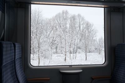 Snow covered bare trees seen through train window