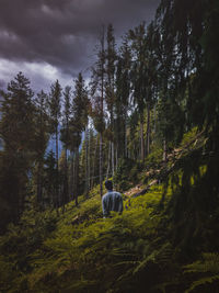 Rear view of man in forest against sky