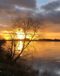 Silhouette bare tree by lake against sky during sunset