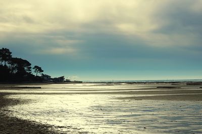 Scenic view of beach against sky