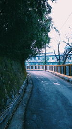 Empty road along trees and buildings