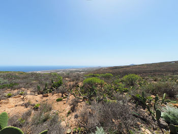 Scenic view of land against clear blue sky