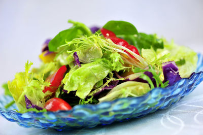 Close-up of salad in plate