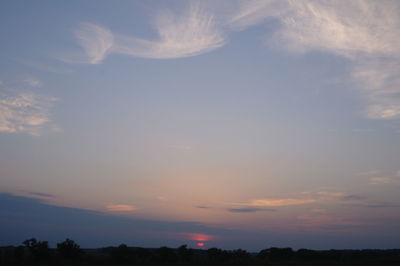 Low angle view of silhouette trees against sky during sunset