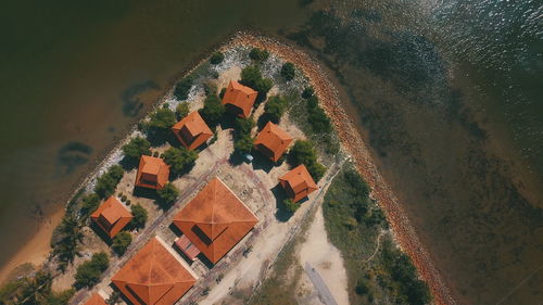 High angle view of trees and buildings