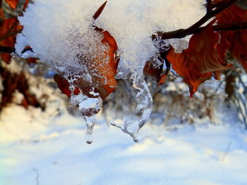 Close-up of frozen water