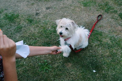 Midsection of man holding dog