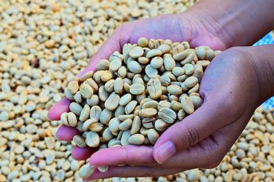 Cropped image of human hands holding coffee beans