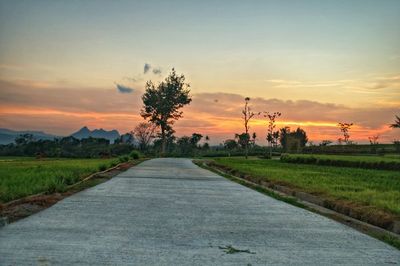 Scenic view of agricultural field against sky during sunset