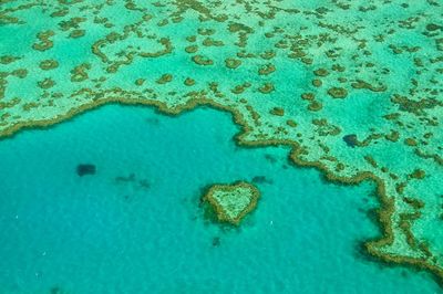Aerial view of great barrier reef