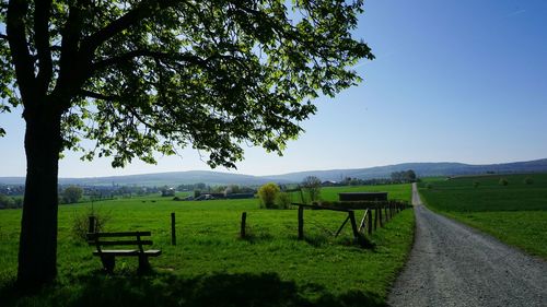 Scenic view of agricultural field against sky