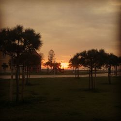 Silhouette trees on field against sky at sunset