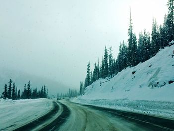 Road amidst snow covered trees against sky