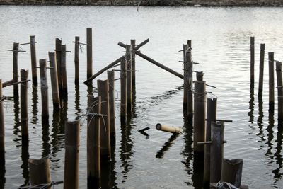 Wooden posts in lake against sky