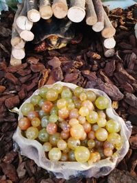 High angle view of fruits