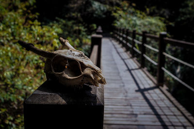 Close-up of a sculpture