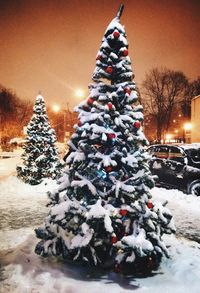 Snow covered trees