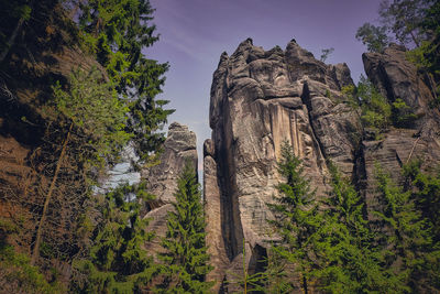 Low angle view of trees on rock formation